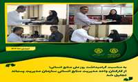 از کارکنان واحد مدیریت منابع انسانی سازمان مدیریت پسماند تجلیل شد